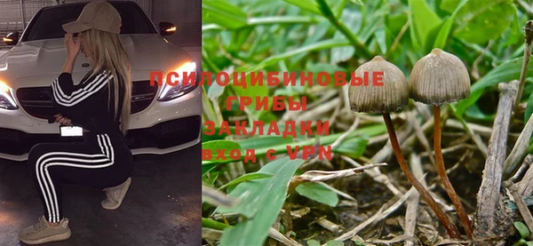 кокс Алзамай
