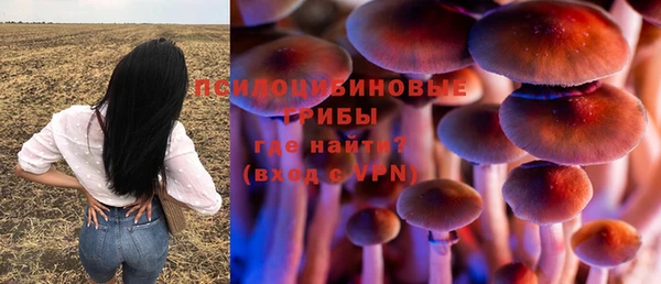 кокс Алзамай