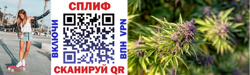где можно купить   Дорогобуж  МАРИХУАНА конопля 
